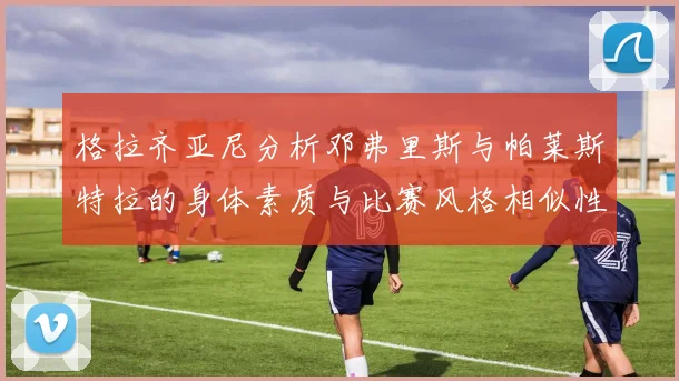 格拉齐亚尼分析邓弗里斯与帕莱斯特拉的身体素质与比赛风格相似性