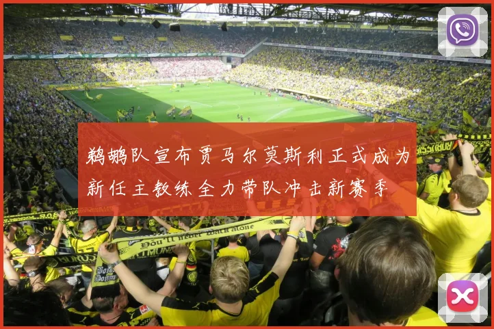 鹈鹕队宣布贾马尔莫斯利正式成为新任主教练全力带队冲击新赛季